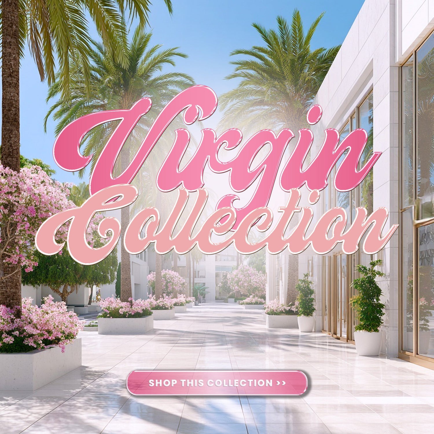 Virgin Collection